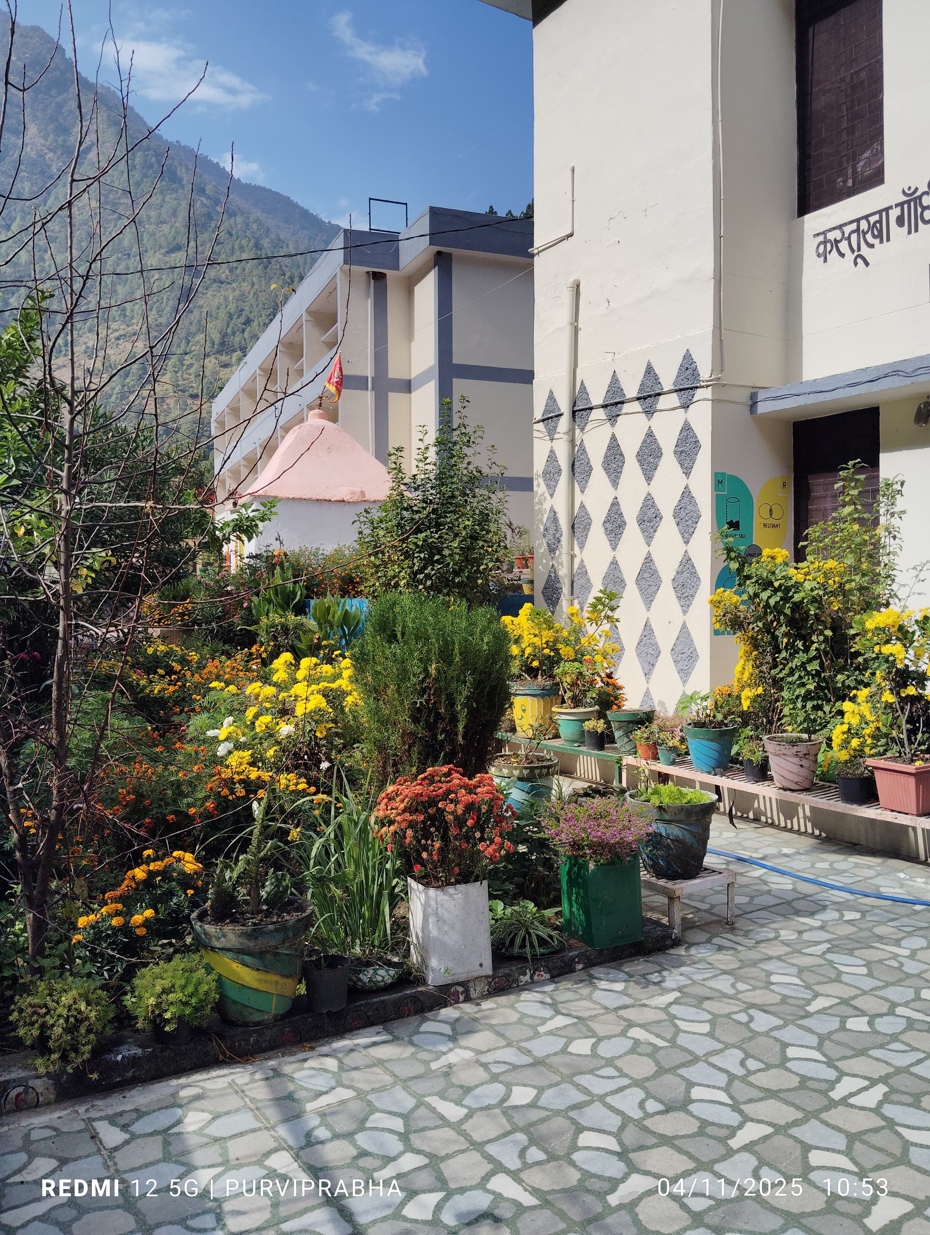 विद्यालय परिसर एवं उद्यान