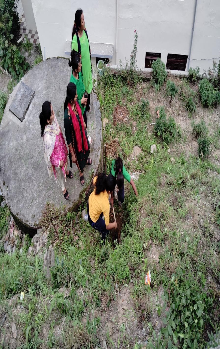 हरेला पर्व